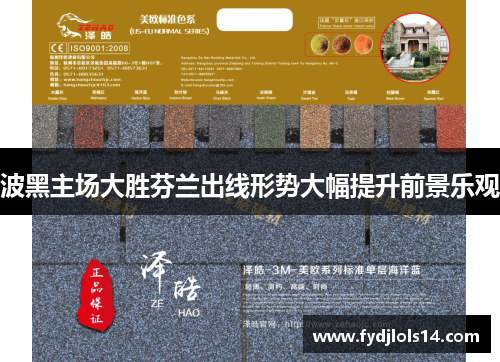 波黑主场大胜芬兰出线形势大幅提升前景乐观