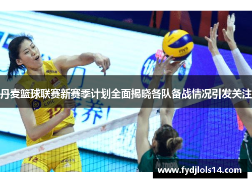 丹麦篮球联赛新赛季计划全面揭晓各队备战情况引发关注