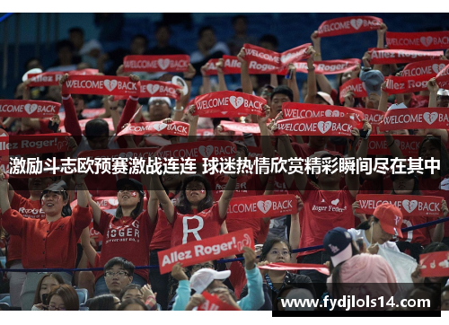 激励斗志欧预赛激战连连 球迷热情欣赏精彩瞬间尽在其中