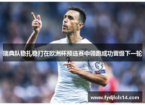 瑞典队稳扎稳打在欧洲杯预选赛中领跑成功晋级下一轮