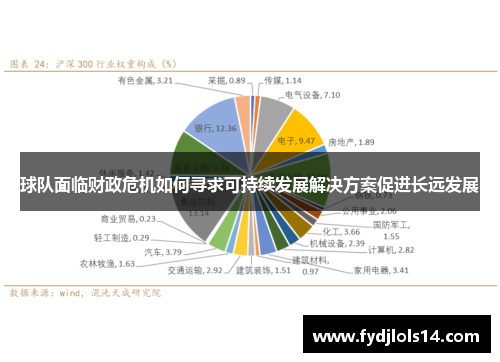 球队面临财政危机如何寻求可持续发展解决方案促进长远发展