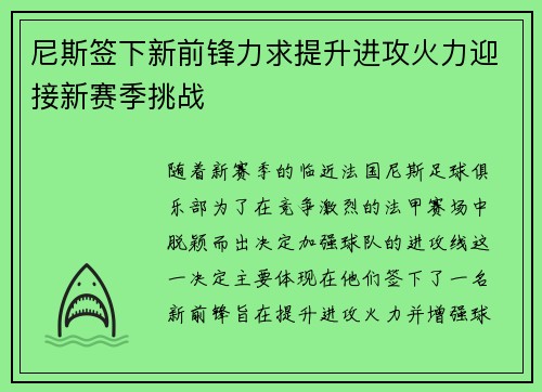 尼斯签下新前锋力求提升进攻火力迎接新赛季挑战