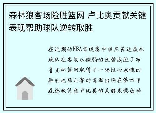 森林狼客场险胜篮网 卢比奥贡献关键表现帮助球队逆转取胜